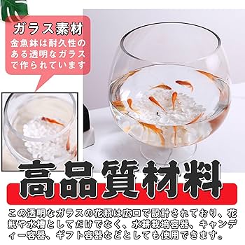 Amazon | 金魚鉢 ガラス 丸型 金魚 水槽 大きい マティーニ